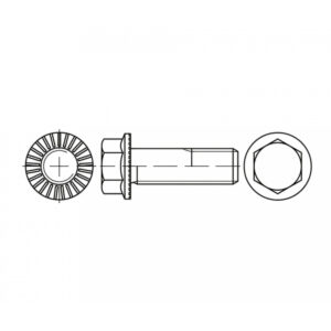 Śruba z kołnierzem ząbkowanym typu RIPP - HS88913