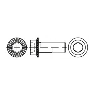 Śruba imbusowa z kołnierzem ząbkowanym typu RIPP – HS88912